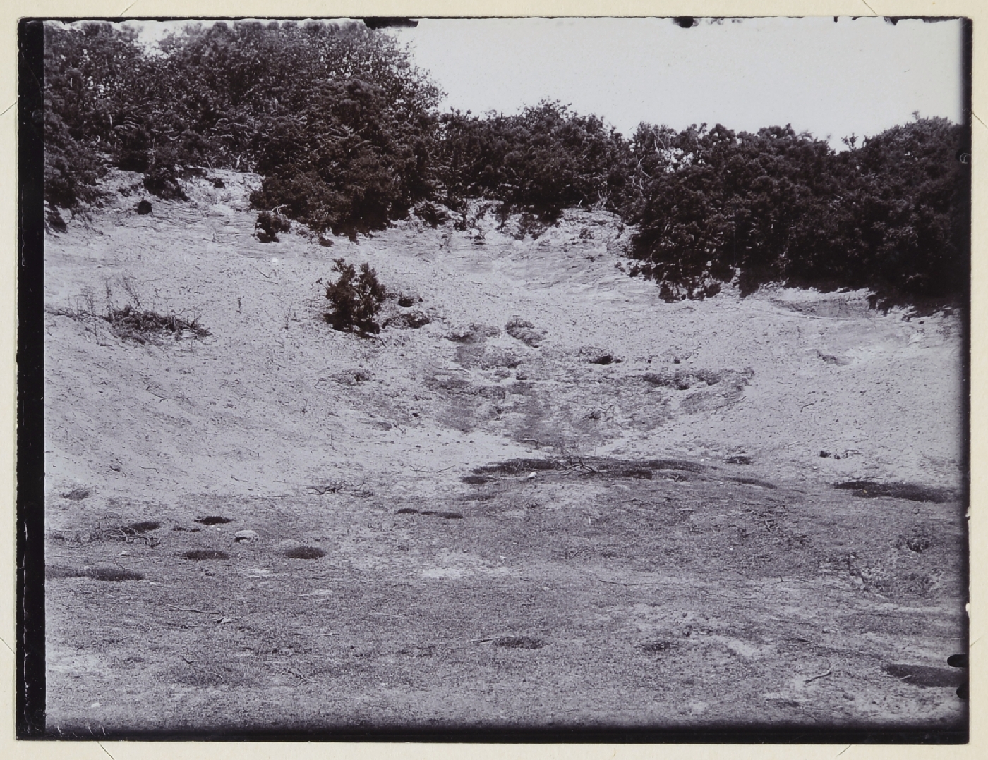 File:P804729.jpg - MediaWiki