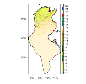Tunisia LandCover.png