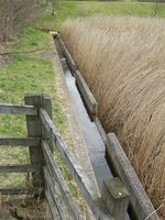 Mine water from Taff Merthyr after treatment emerging from the reed bed treatment area. P802435.